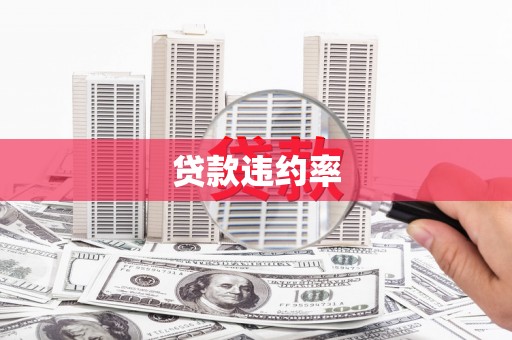 麦积贷款违约率