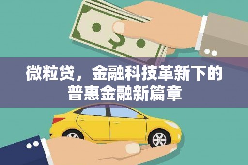 麦积微粒贷，金融科技革新下的普惠金融新篇章