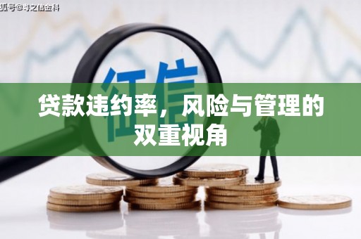 麦积贷款违约率，风险与管理的双重视角