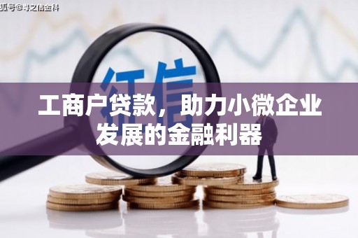 麦积工商户贷款,助力小微企业发展的金融利器 麦积工商户贷款,助力小微企业发展的金融利器