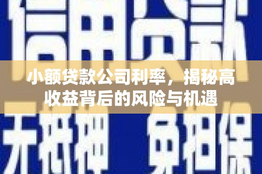 麦积小额贷款公司利率，揭秘高收益背后的风险与机遇