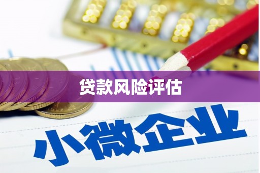 麦积贷款风险评估