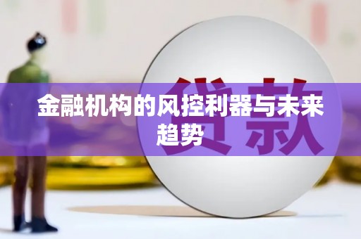 麦积金融机构的风控利器与未来趋势