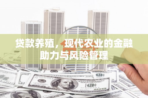 麦积贷款养殖，现代农业的金融助力与风险管理