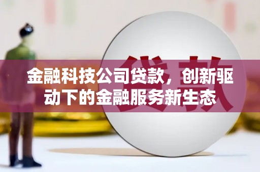 麦积金融科技公司贷款，创新驱动下的金融服务新生态
