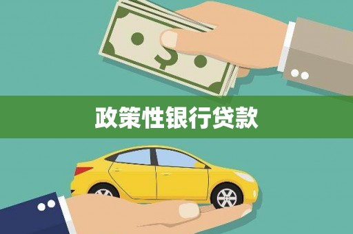 麦积政策性银行贷款