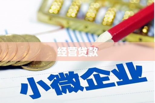 麦积经营贷款