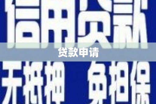 麦积贷款申请