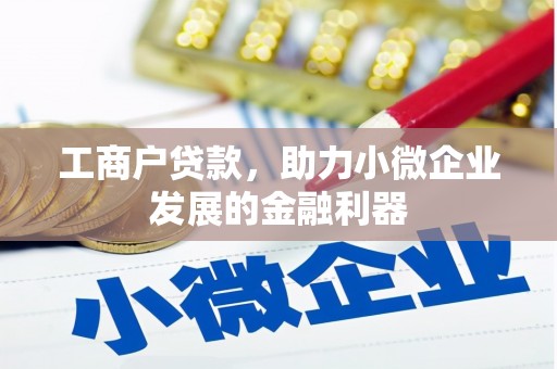 麦积工商户贷款，助力小微企业发展的金融利器
