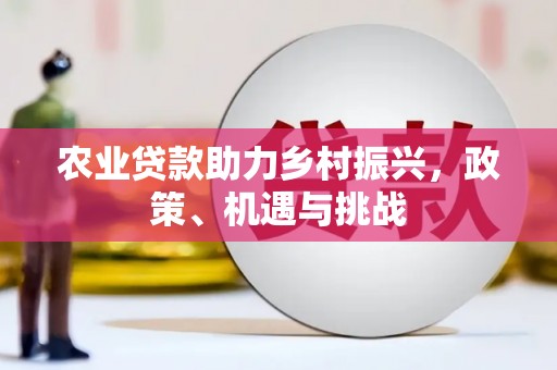 麦积农业贷款助力乡村振兴，政策、机遇与挑战