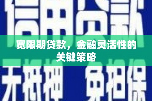 麦积宽限期贷款，金融灵活性的关键策略