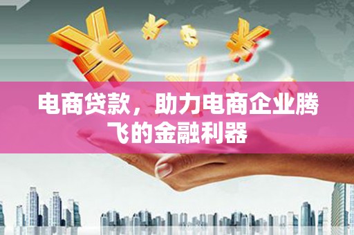 麦积电商贷款，助力电商企业腾飞的金融利器