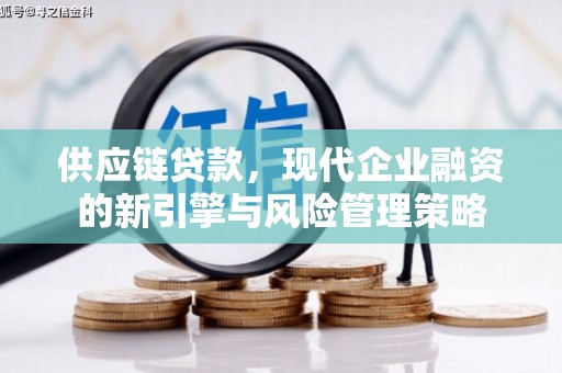 麦积供应链贷款，现代企业融资的新引擎与风险管理策略