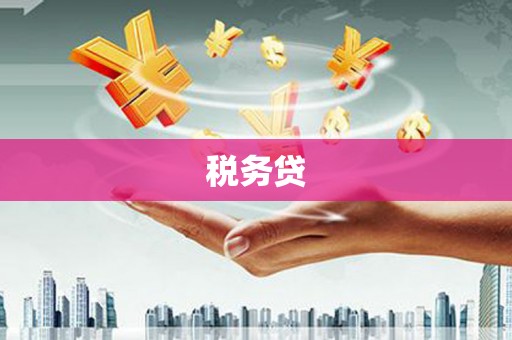 麦积税务贷