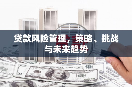 麦积贷款风险管理，策略、挑战与未来趋势