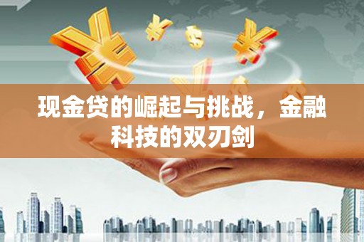 麦积现金贷的崛起与挑战，金融科技的双刃剑