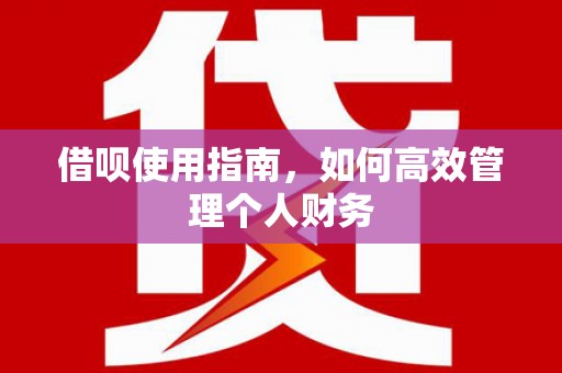 麦积借呗使用指南，如何高效管理个人财务