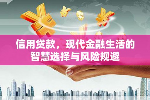 麦积信用贷款，现代金融生活的智慧选择与风险规避