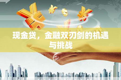 麦积现金贷，金融双刃剑的机遇与挑战