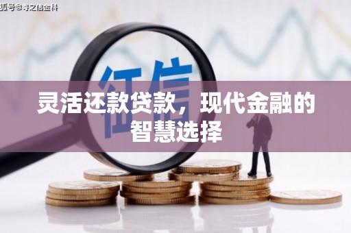 麦积灵活还款贷款，现代金融的智慧选择