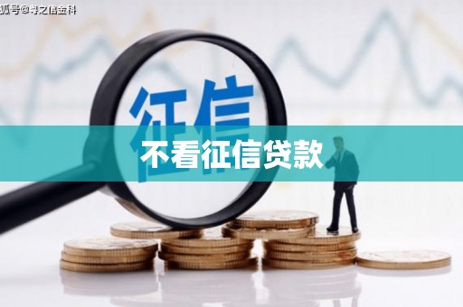 麦积不看征信贷款