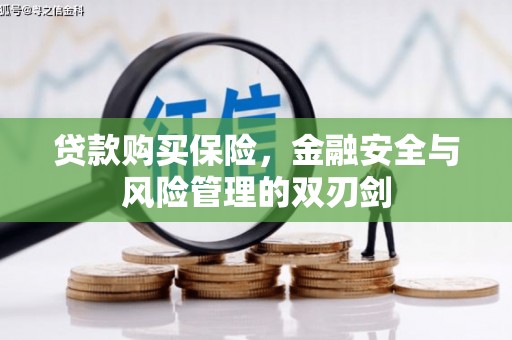 麦积贷款购买保险，金融安全与风险管理的双刃剑