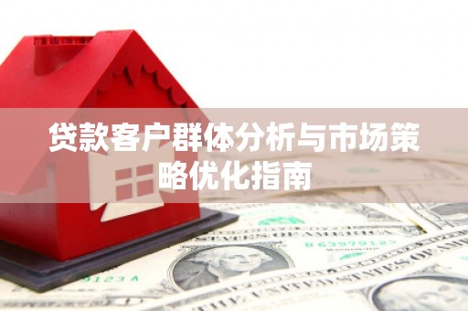 麦积贷款客户群体分析与市场策略优化指南