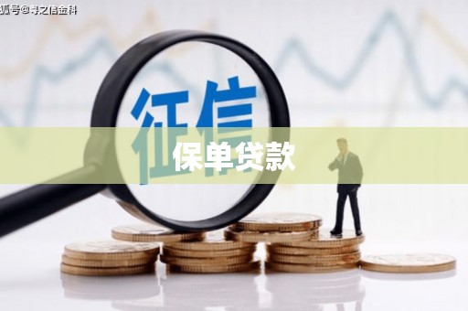 麦积保单贷款