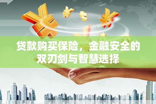 麦积贷款购买保险，金融安全的双刃剑与智慧选择