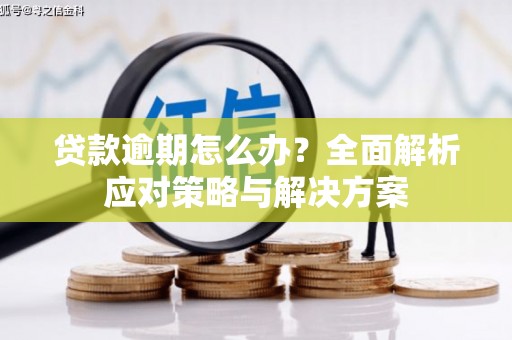 麦积贷款逾期怎么办？全面解析应对策略与解决方案