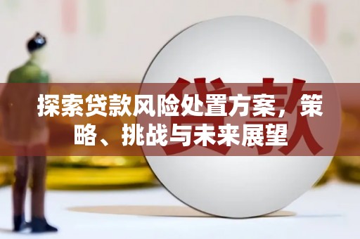 麦积探索贷款风险处置方案，策略、挑战与未来展望