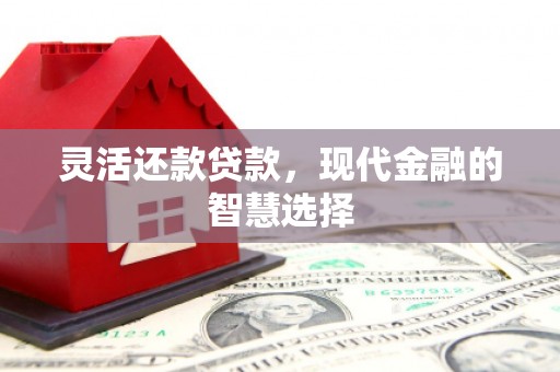 麦积灵活还款贷款，现代金融的智慧选择