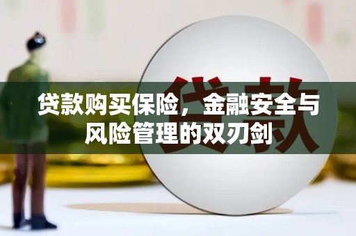 麦积贷款购买保险，金融安全与风险管理的双刃剑