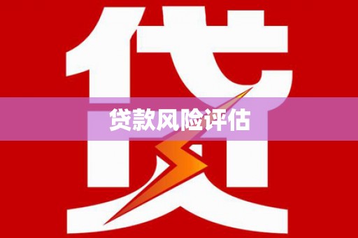 麦积贷款风险评估