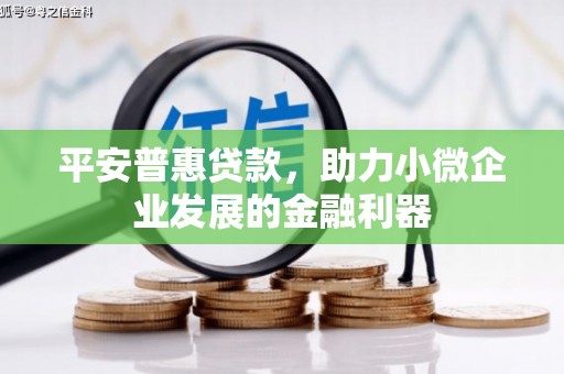 麦积平安普惠贷款，助力小微企业发展的金融利器