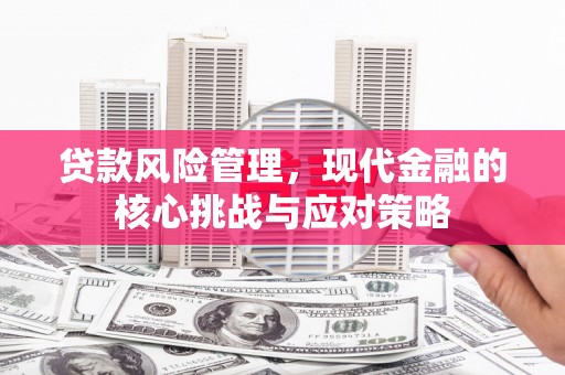 麦积贷款风险管理，现代金融的核心挑战与应对策略