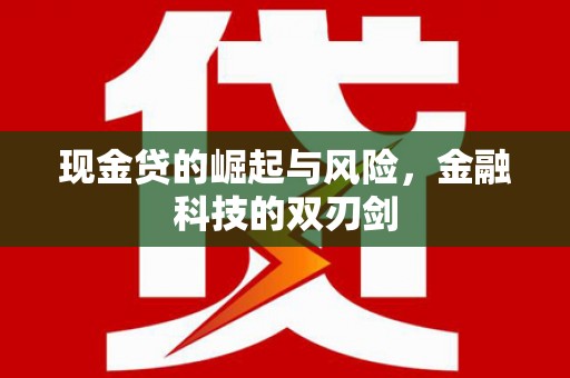 麦积现金贷的崛起与风险，金融科技的双刃剑