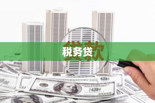 麦积税务贷