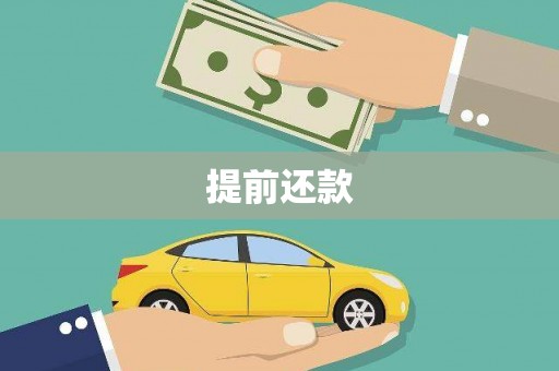 麦积提前还款