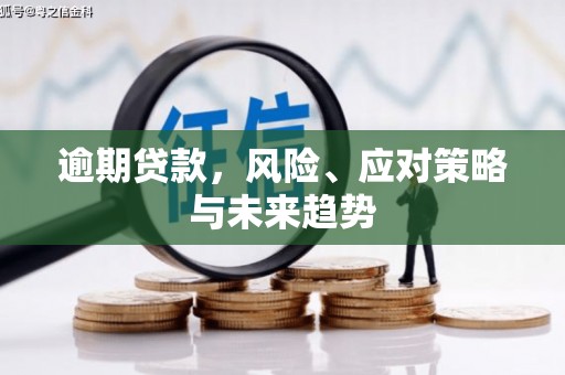麦积逾期贷款，风险、应对策略与未来趋势