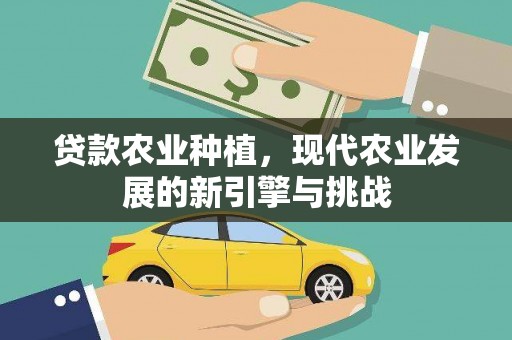 麦积贷款农业种植，现代农业发展的新引擎与挑战