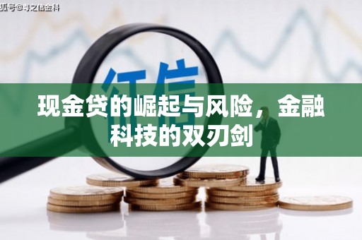 麦积现金贷的崛起与风险，金融科技的双刃剑