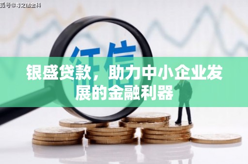 麦积银盛贷款，助力中小企业发展的金融利器