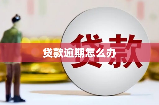 麦积贷款逾期怎么办