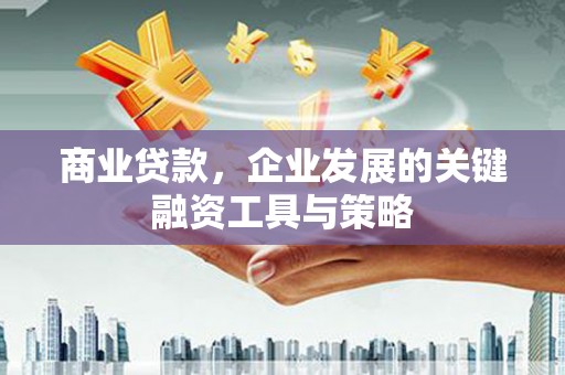 麦积商业贷款，企业发展的关键融资工具与策略