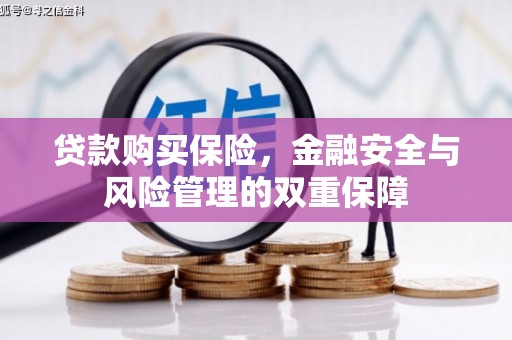 麦积贷款购买保险，金融安全与风险管理的双重保障