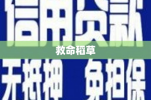 麦积救命稻草