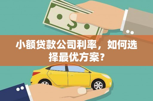 麦积小额贷款公司利率，如何选择最优方案？