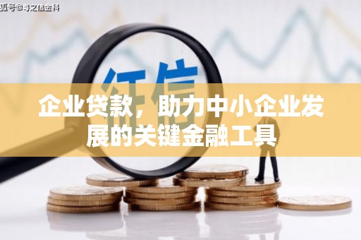 麦积企业贷款，助力中小企业发展的关键金融工具