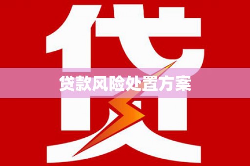 麦积贷款风险处置方案
